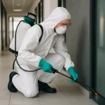 Dlaczego regularna deratyzacja w obiektach komercyjnych jest kluczowa?